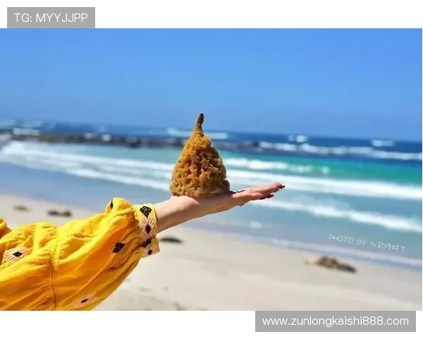 通过尊龙游戏开启你的冒险之旅:畅享刺激与欢乐的世界
